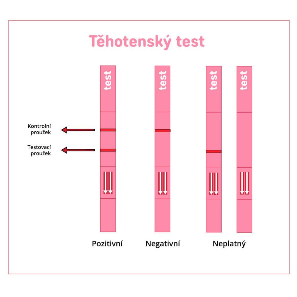 Тест на беременность ovie. Тест на беременность. Тест pregnancy Test strip. HCG тест на беременность. Pregnancy Test strip тест на беременность положительный.